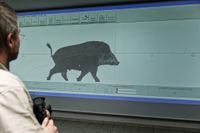 schiesstraining Analyse Wildschwein